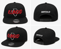 ILLINOID Snapback Hat