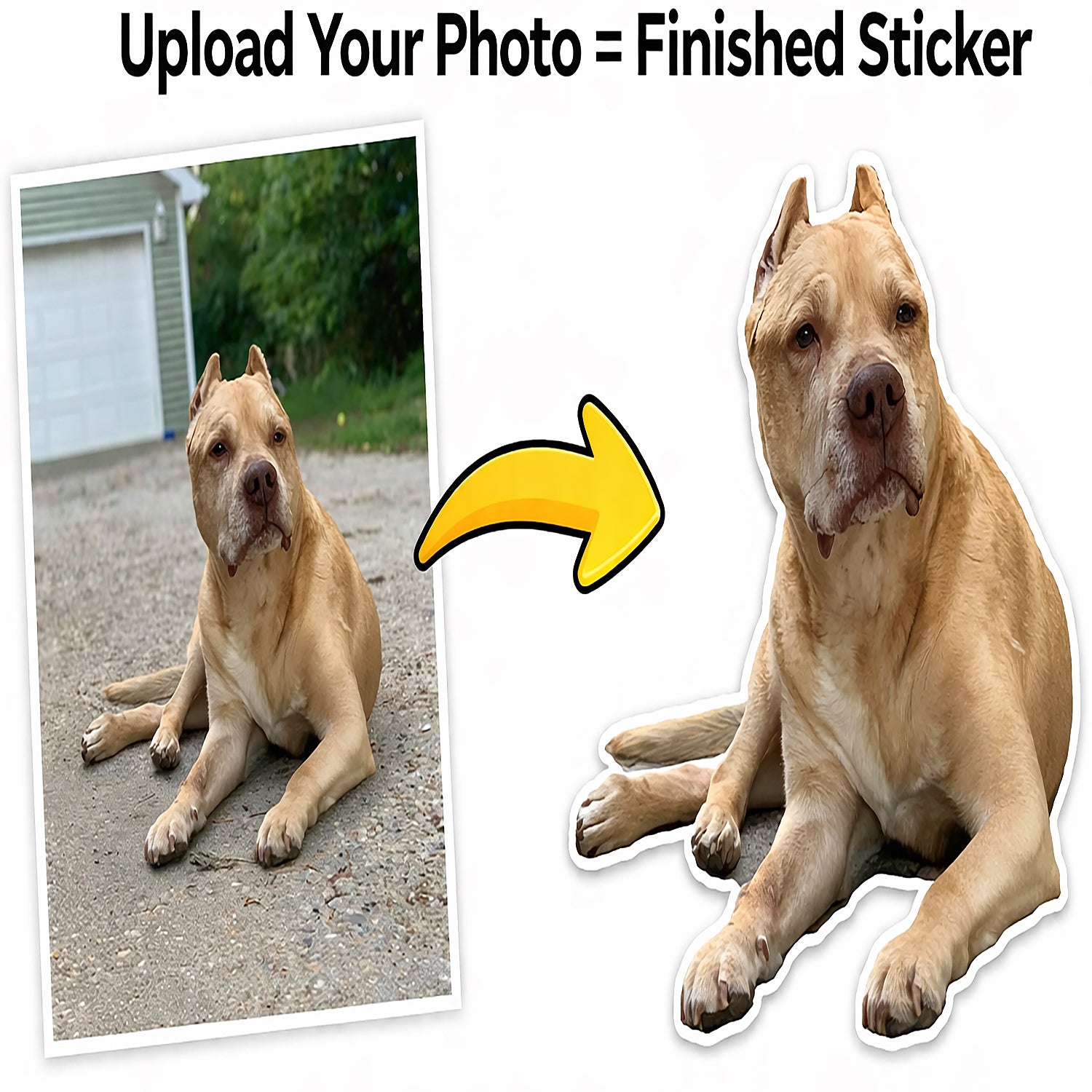 Custom 2" up to 3” Stickers – Upload Your Design